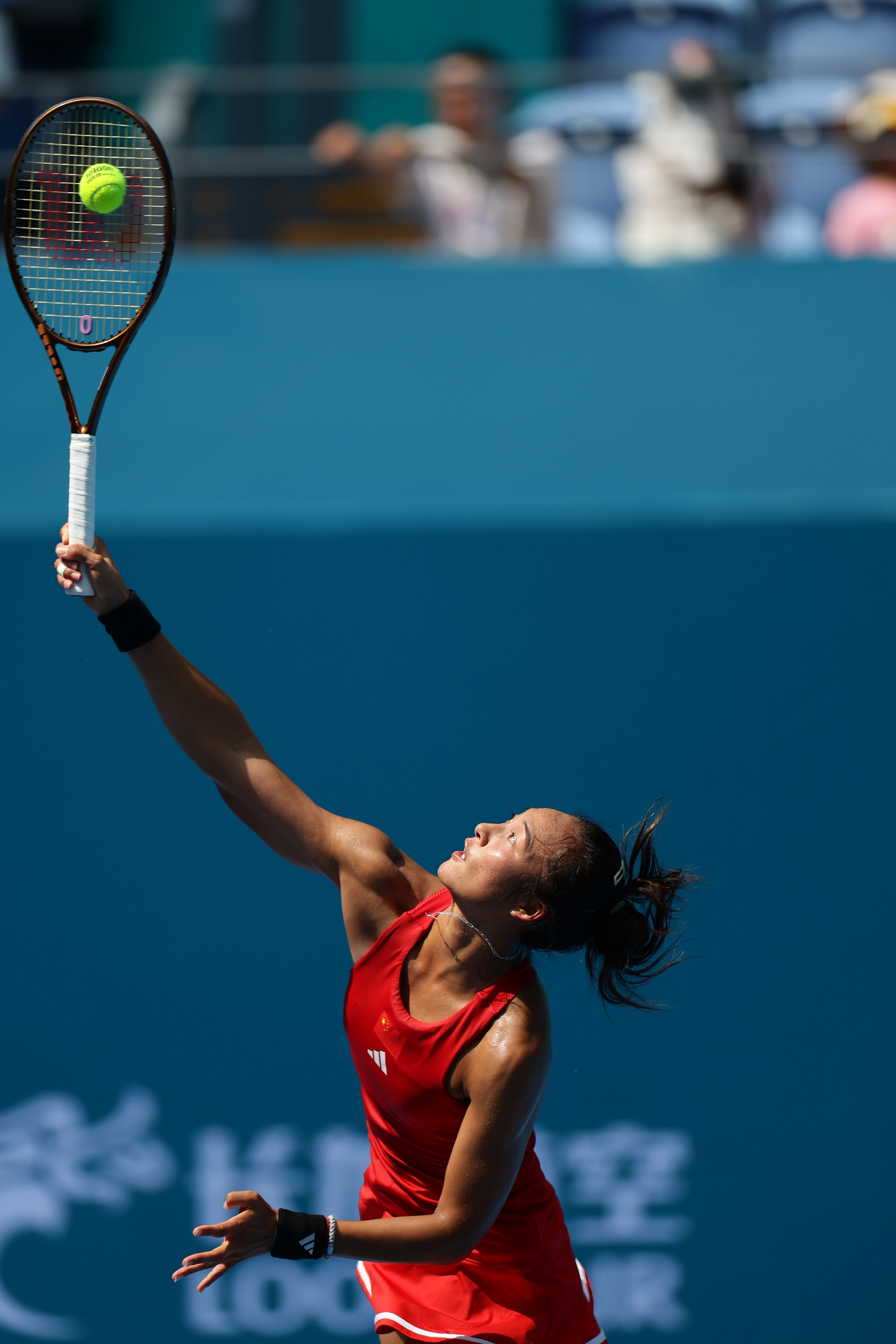 它来传播和 它来传播和